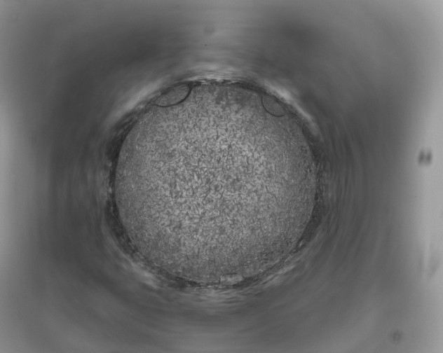 X0000096181399200802011331