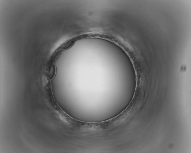 X0000096181400200802011331