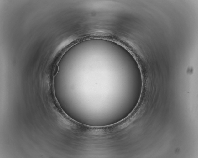 X0000096181402200802011331