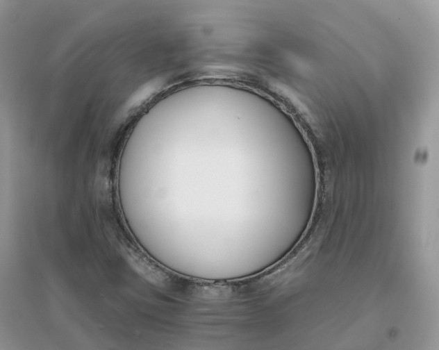 X0000096181403200802011331