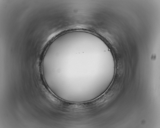 X0000096181404200802011331
