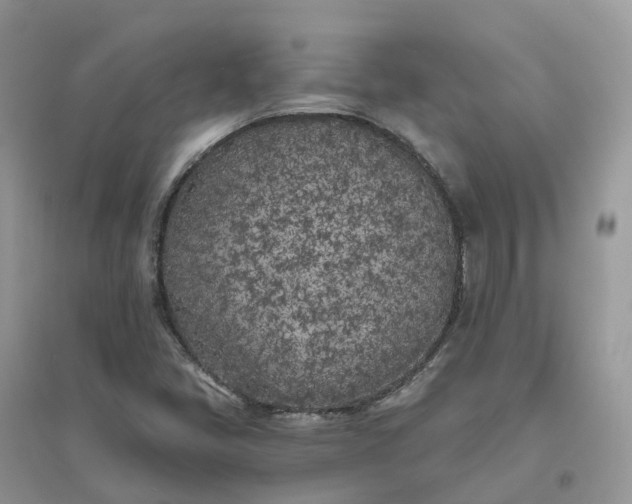 X0000096181405200802011331
