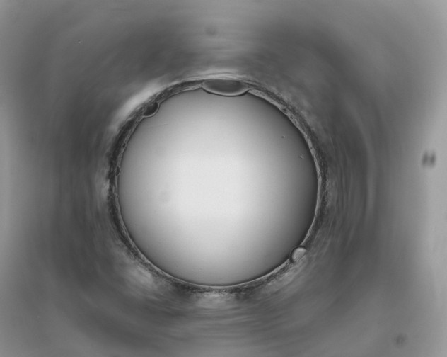 X0000096181406200802011331