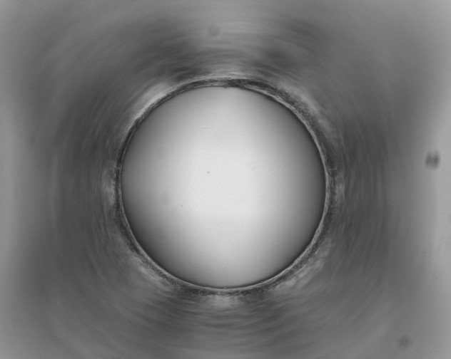 X0000096181409200802011331