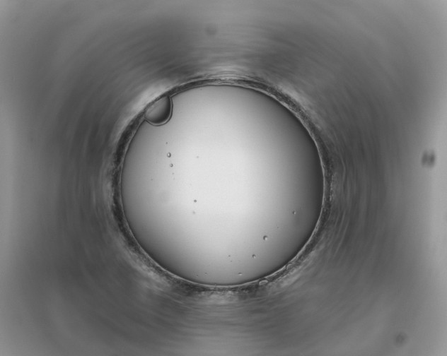 X0000096181410200802011331