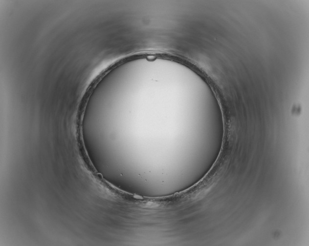 X0000096181412200802011331