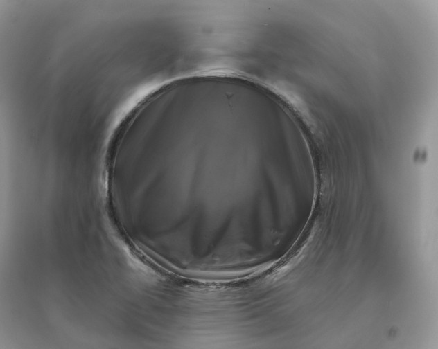X0000096181414200802011331