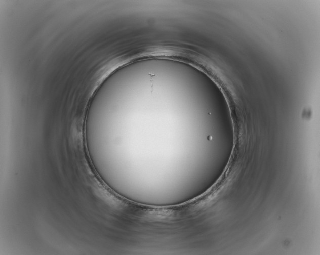X0000096181417200802011331