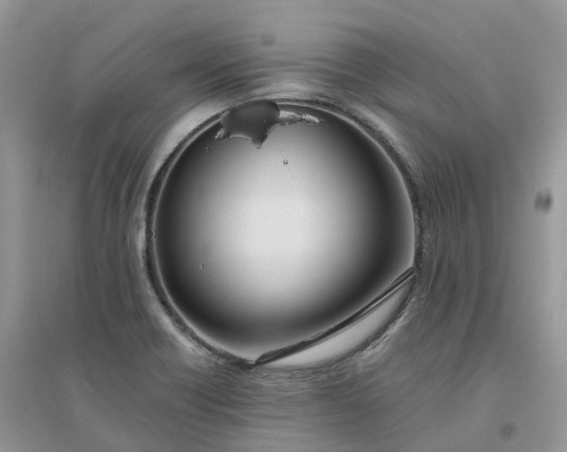 X0000096181418200802011332