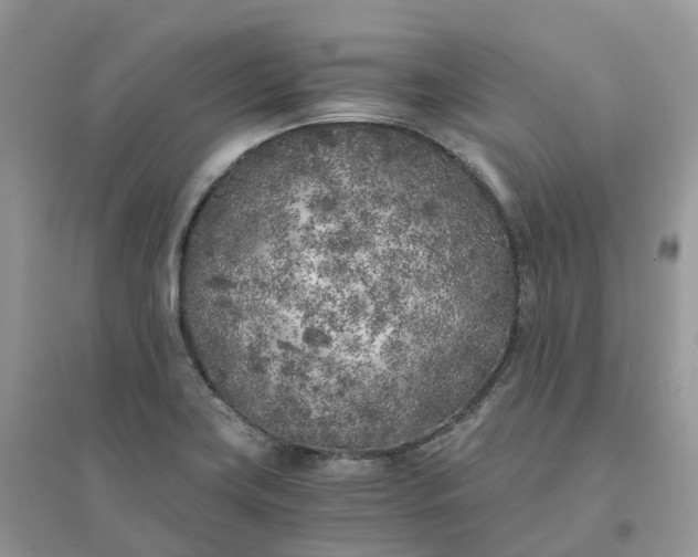 X0000096181419200802011332