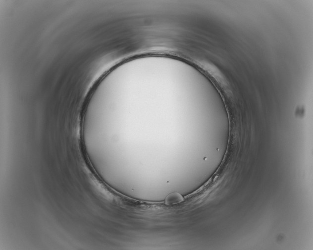 X0000096181420200802011332