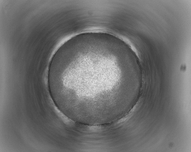 X0000096181421200802011332