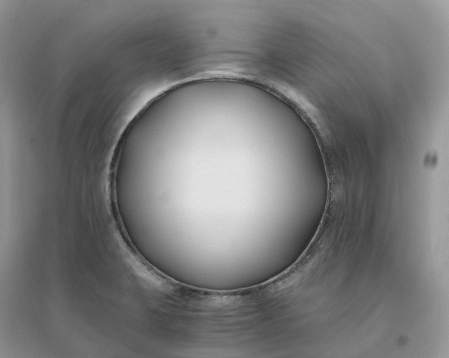 X0000096181423200802011332