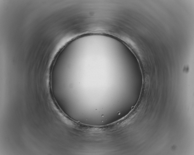 X0000096181424200802011332