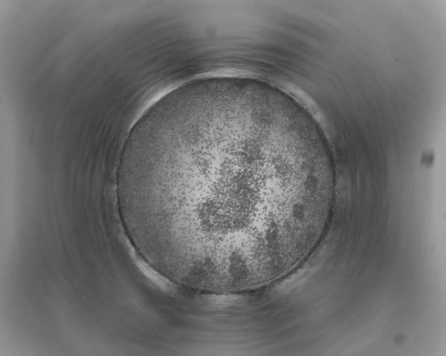 X0000096181425200802011332