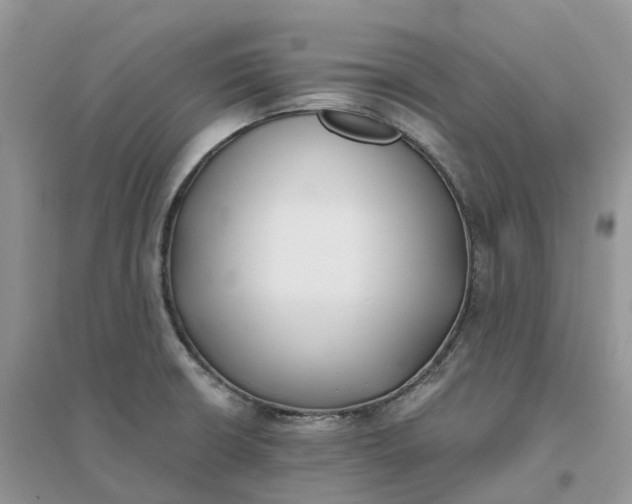 X0000096181426200802011332
