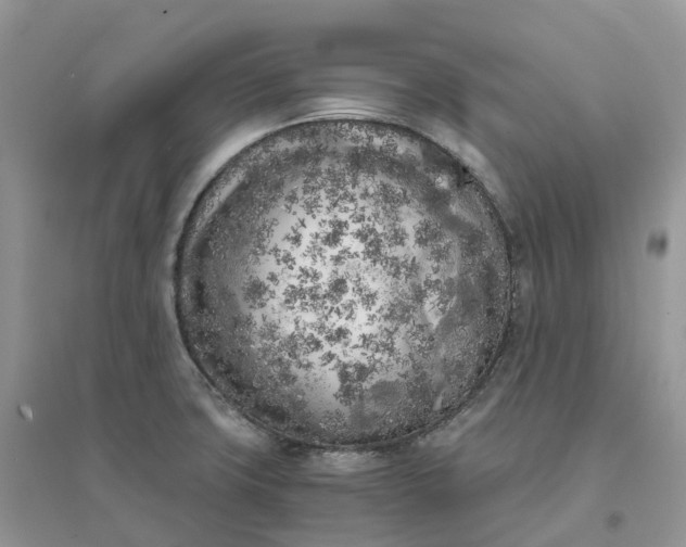 X0000096181427200802011332