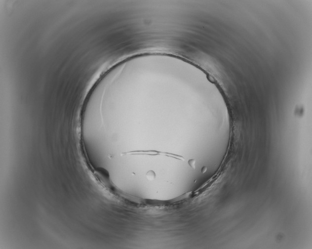 X0000096181428200802011332