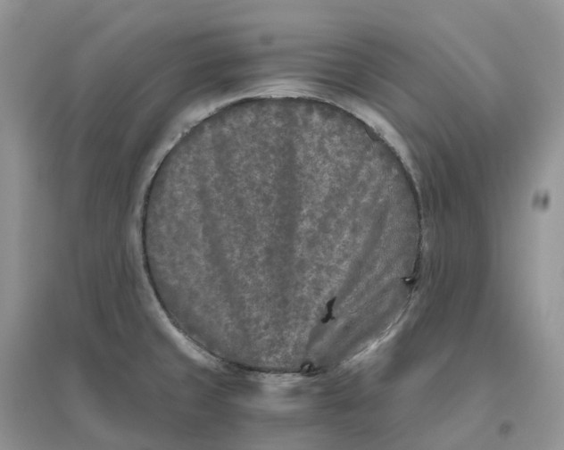 X0000096181429200802011332