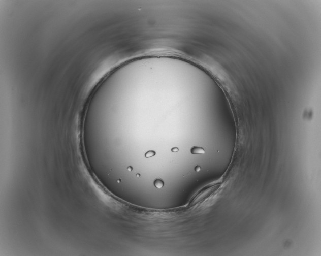 X0000096181430200802011332