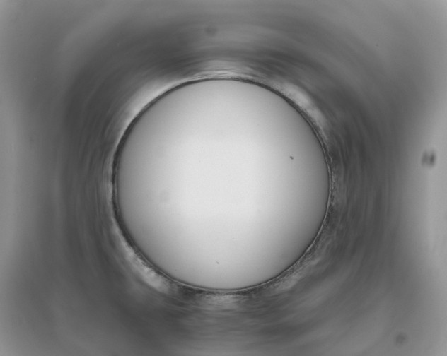 X0000096181431200802011332