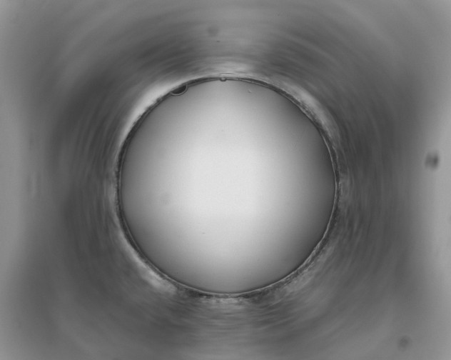 X0000096181432200802011332