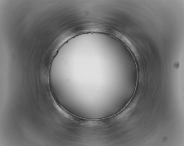 X0000096181433200802011332