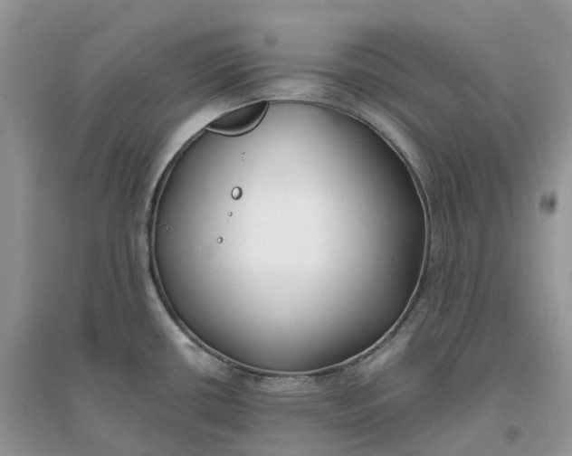 X0000096181434200802011332