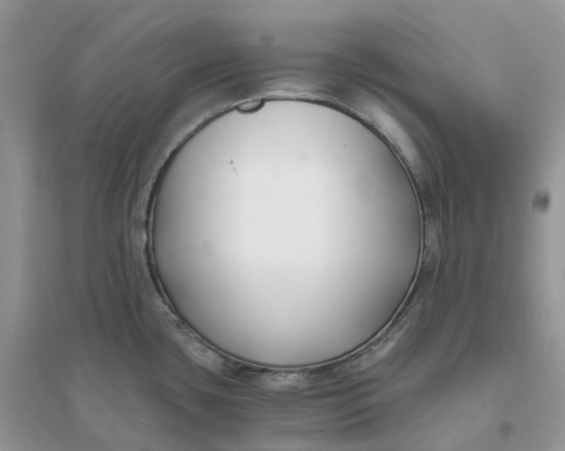 X0000096181435200802011332