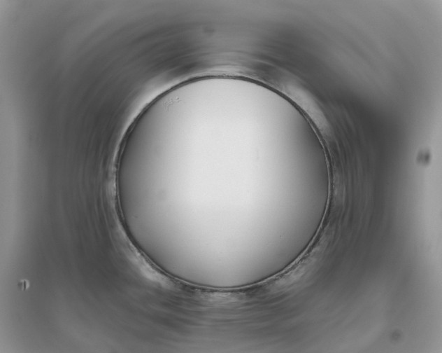 X0000096181436200802011332