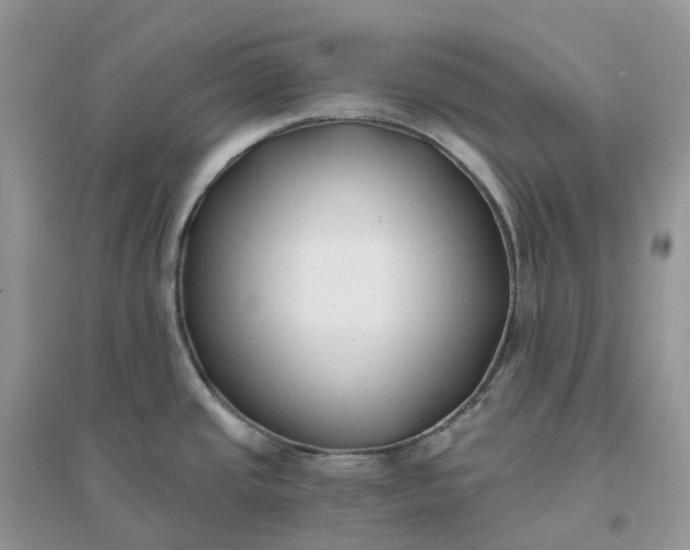 X0000096181437200802011332