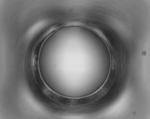 X0000096181438200802011332