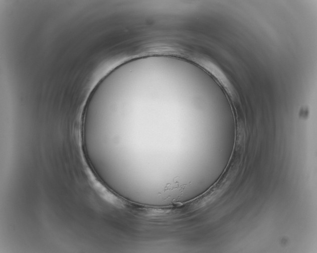 X0000096181439200802011332