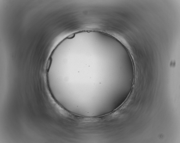 X0000096181440200802011332