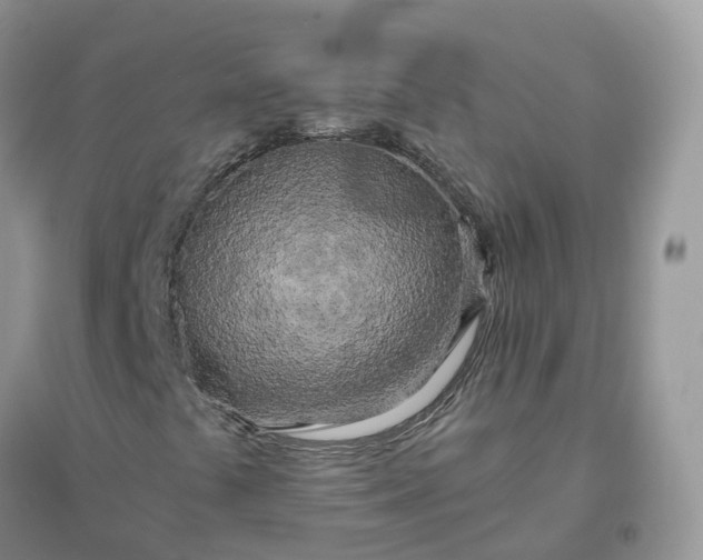 X0000096181441200802011331