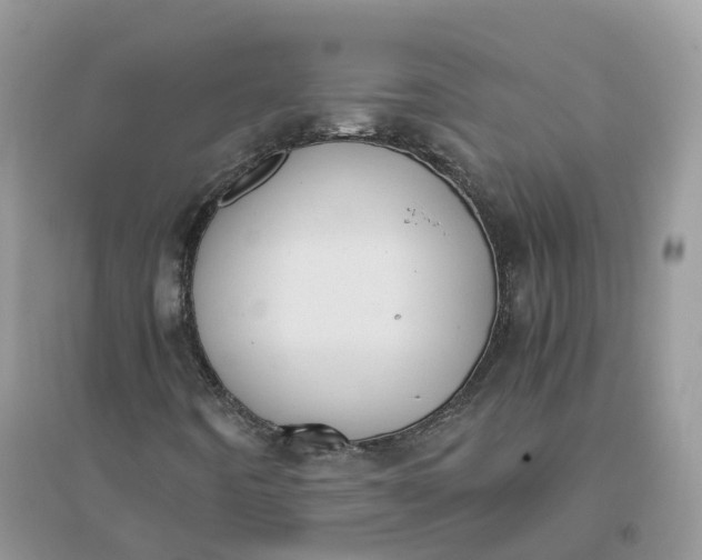 X0000096181442200802011331