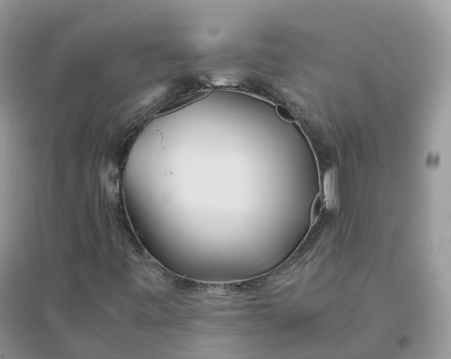 X0000096181443200802011331