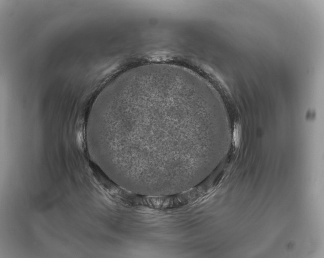 X0000096181444200802011331