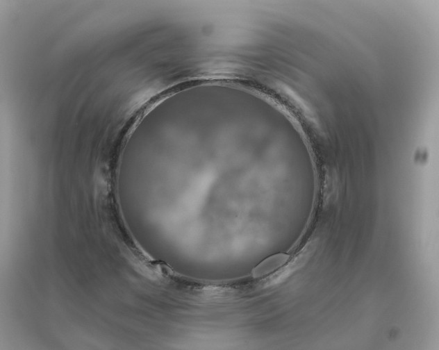 X0000096181449200802011331