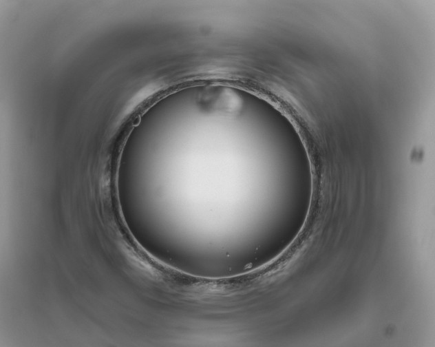 X0000096181450200802011331
