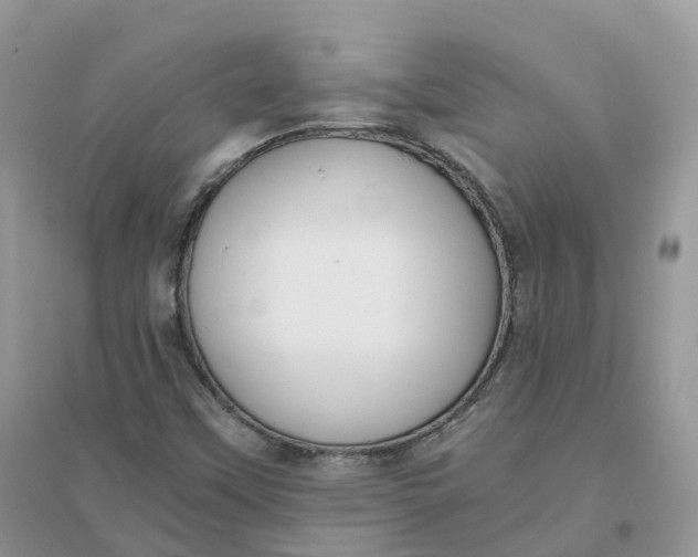 X0000096181451200802011331