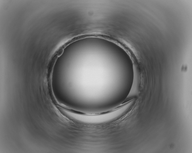 X0000096181452200802011331