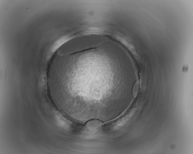 X0000096181453200802011331