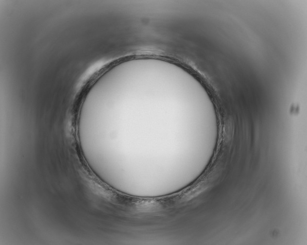 X0000096181454200802011331