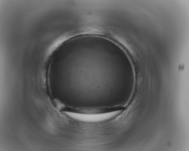 X0000096181455200802011331