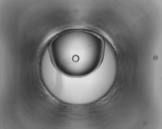 X0000096181456200802011331