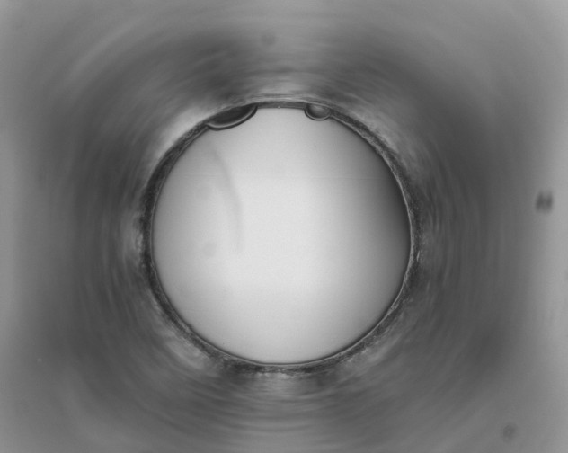 X0000096181458200802011331