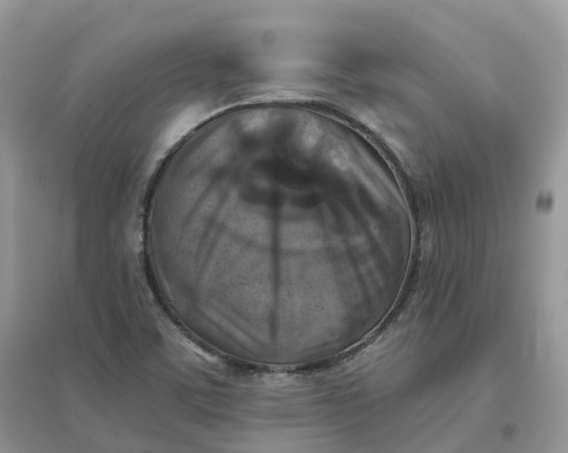 X0000096181459200802011331