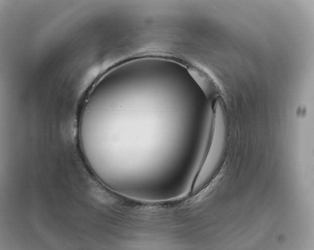 X0000096181461200802011331