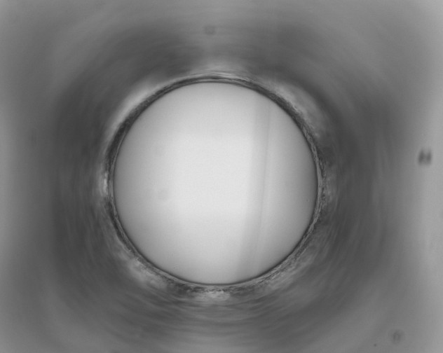 X0000096181462200802011331